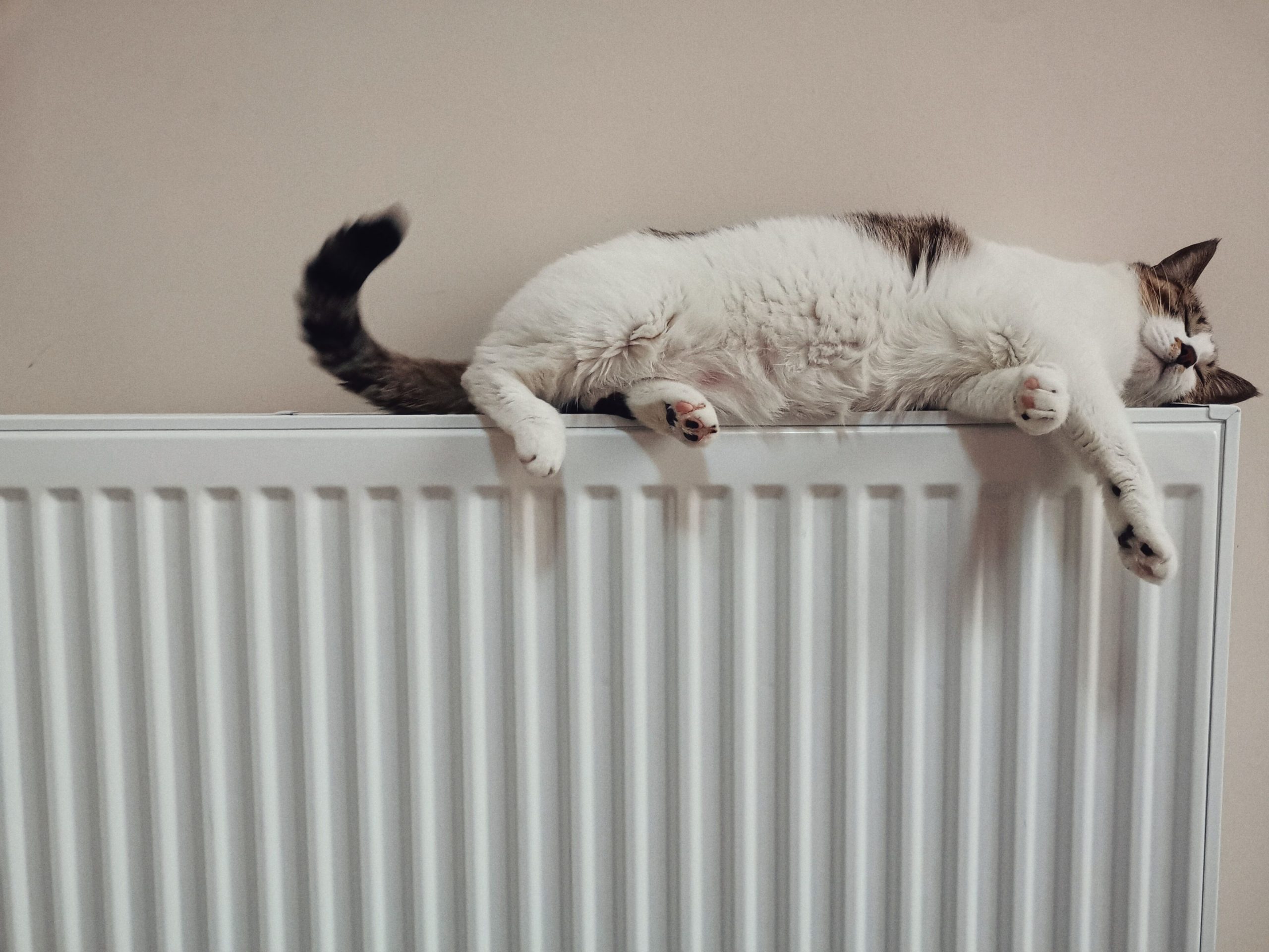 Chat alongé sur un radiateur