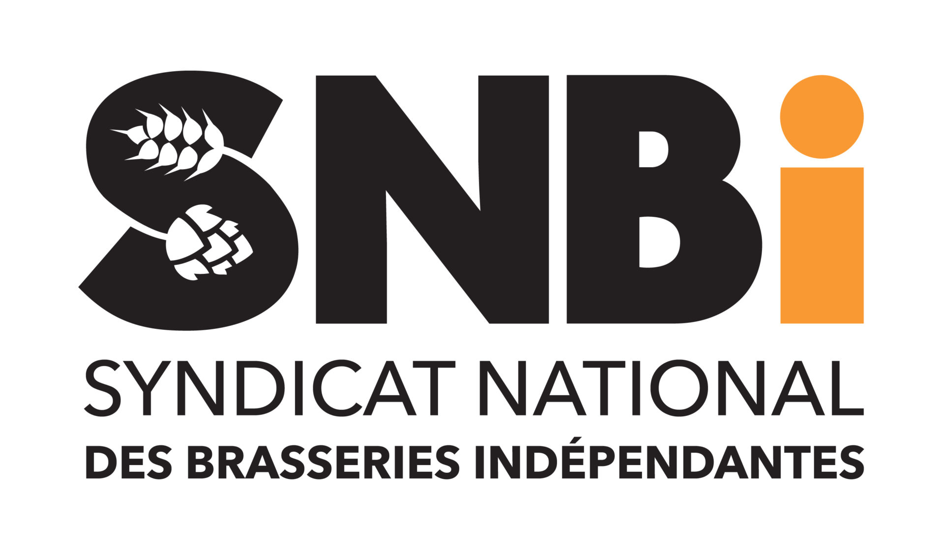 logo SNBi